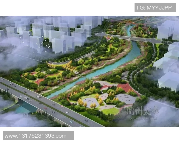 深圳极限运动队的阵地战探索与发展趋势分析